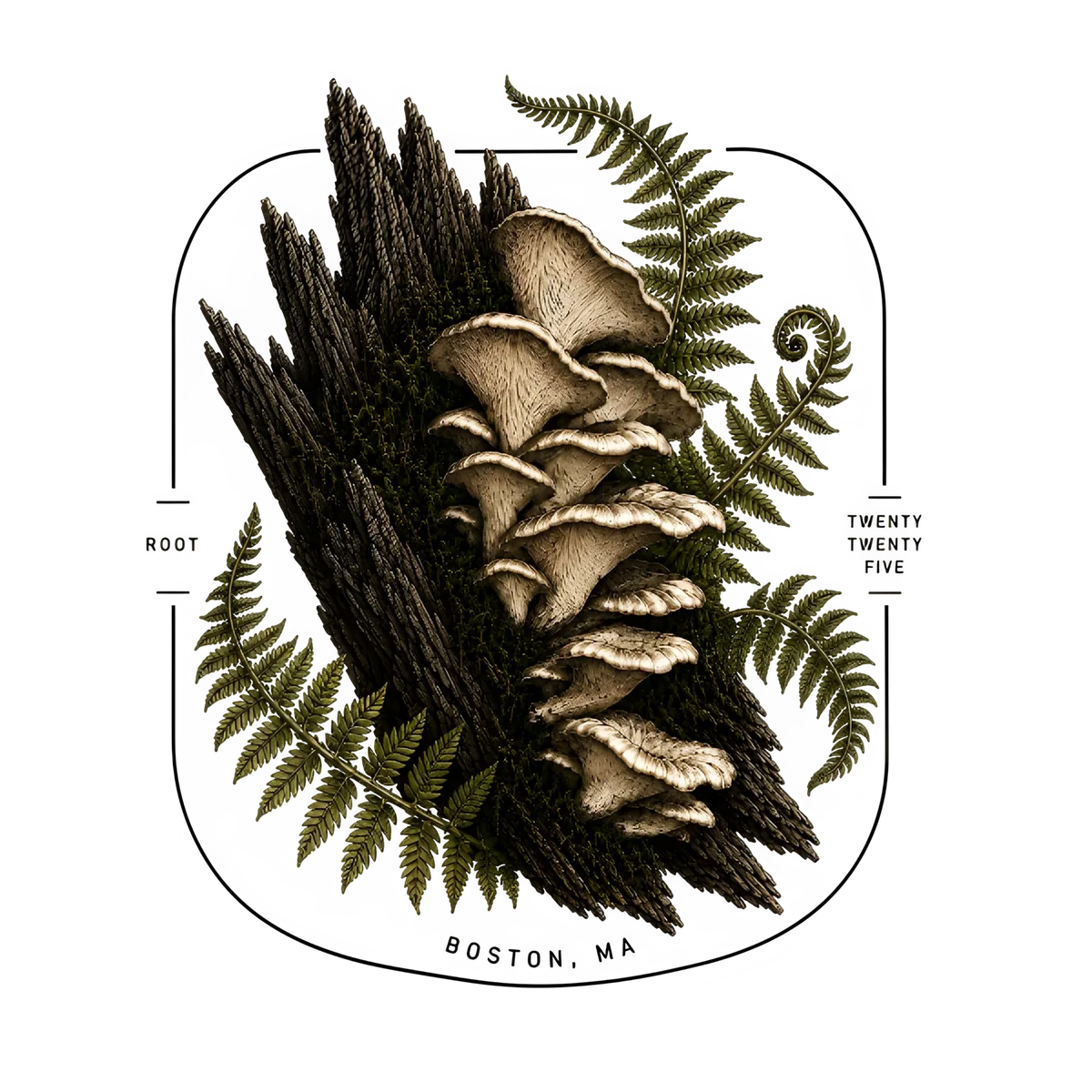 mushroom study — back artwork