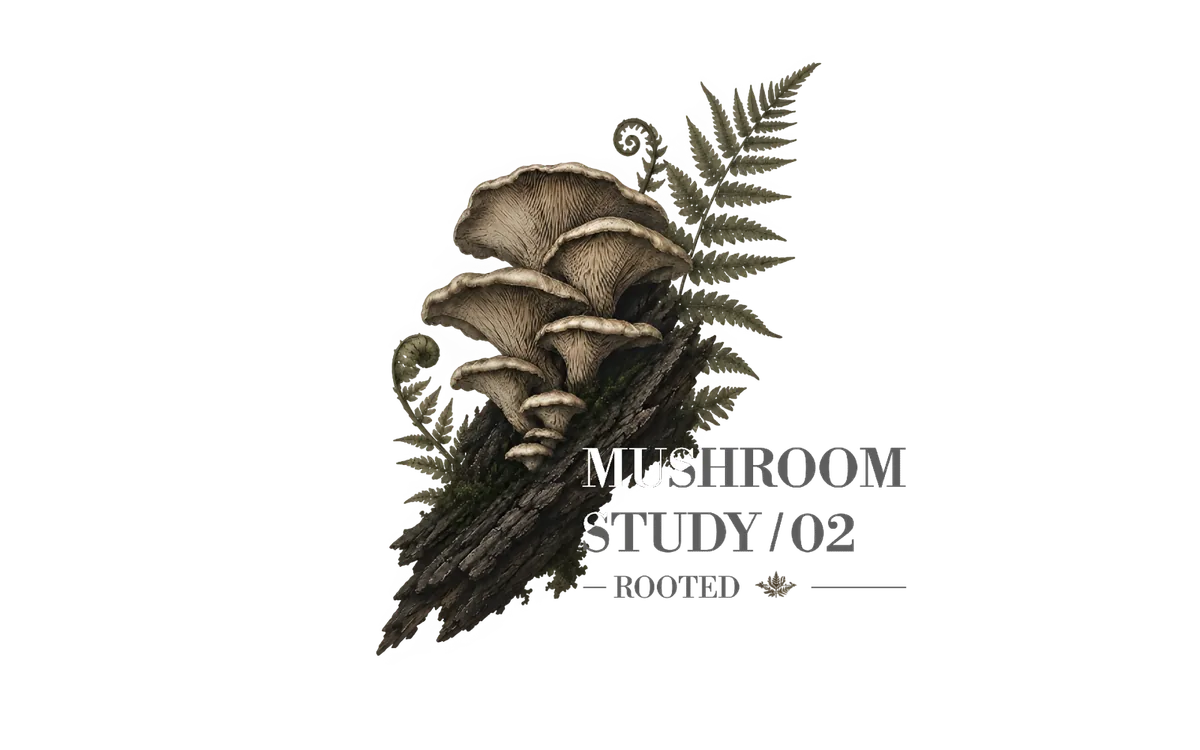 mushroom study — front print